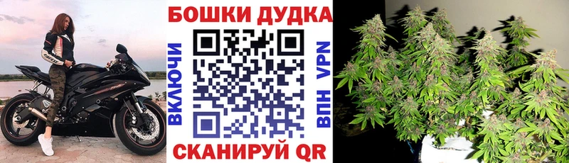 Купить наркотики Туринск Псилоцибиновые грибы ГАШ Амфетамин МАРИХУАНА Cocaine