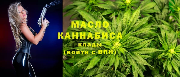 амф Горняк