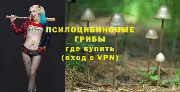 мяу мяу мука Иннополис