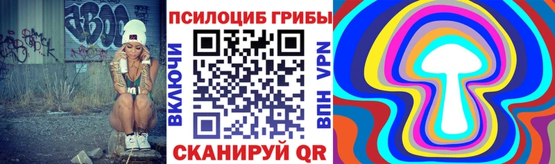Галлюциногенные грибы Cubensis  кракен онион  Туринск 
